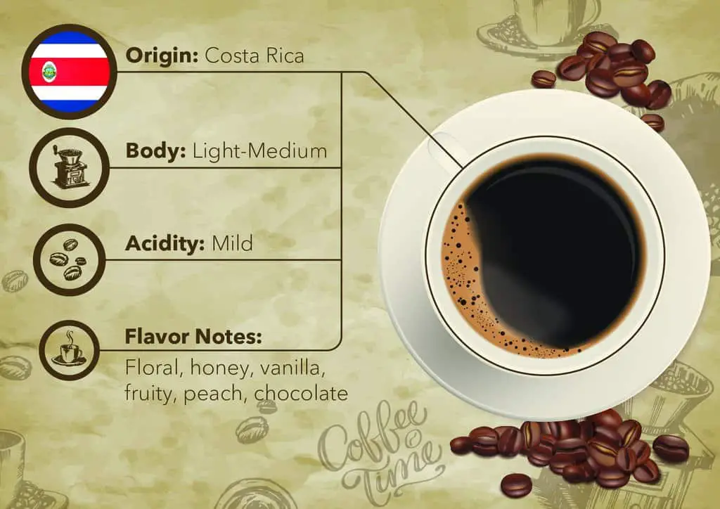 Costa Rican Single Origin Coffee